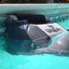 Робот-пылесос для бассейна Hayward TigerShark 2 (резин. валик)